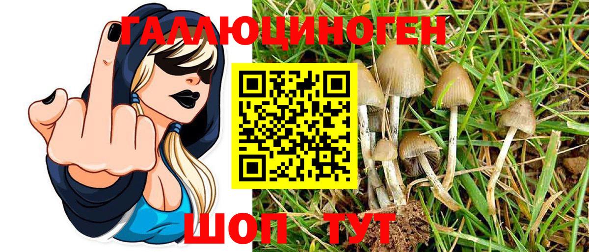 Псилоцибиновые грибы MAGIC MUSHROOMS Кизляр