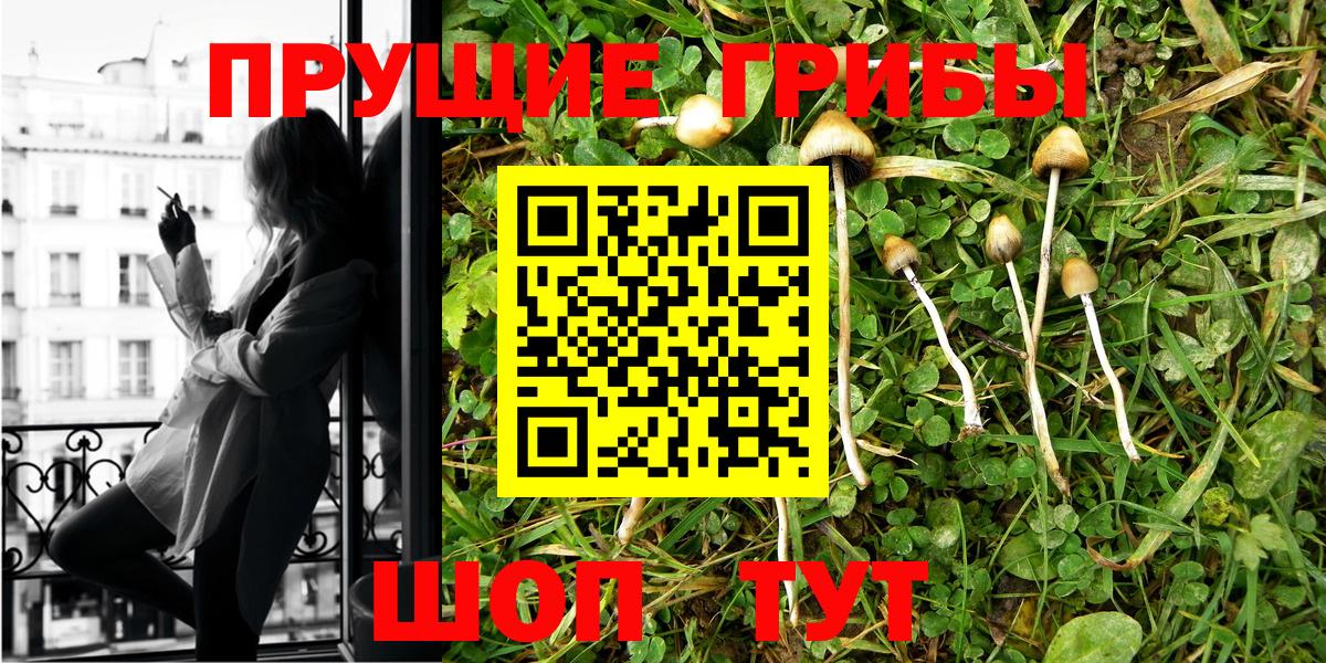 Кизляр  Псилоцибиновые грибы Magic Shrooms  Вход с VPN 