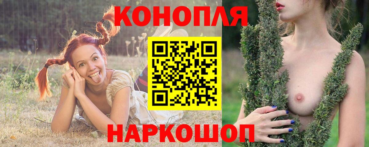 Конопля сатива  Каннабис AK-47  Кизляр  Вход с VPN 